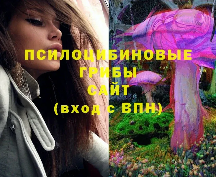 Галлюциногенные грибы Magic Shrooms  Богучар 